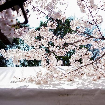 Tora Hotel Tokyo-Kitaueno 寅ホテル北上野 Buitenkant foto