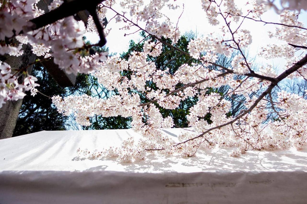Tora Hotel Tokyo-Kitaueno 寅ホテル北上野 Buitenkant foto